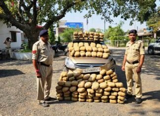 मारूति कार से 41 लाख 25हजार ₹ का गांजा किया जप्त,अज्ञात वाहन चालक के खिलाफ अपराध पंजीबध्द मारूति कार से 41 लाख 25हजार ₹ का गांजा किया जप्त