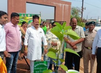 विश्व पर्यावरण दिवस पर स्वामी आत्मानंद स्कूल मे पौधरोपण किया संसदीय सचिव ने विश्व पर्यावरण दिवस पर स्वामी आत्मानंद स्कूल मे पौधरोपण