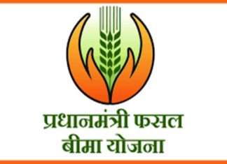 फसल बीमा की अवधि 16 अगस्त तक बढ़ी फसल बीमा की अवधि 16 अगस्त तक बढ़ी