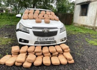 कार के सीट व डिक्की से 37 लाख 50 हजार रुपए का गांजा मिला,दो व्यक्ति किए गए गिरफ्तार कार के सीट व डिक्की से 37 लाख 50 हजार रुपए का गांजा मिला