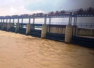 लगातार हो रही बारिश से राज्य के सभी बांधों में बढ़ा जलस्तर लगातार हो रही बारिश से राज्य के सभी बांधों में बढ़ा जलस्तर