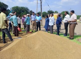 धान उपार्जन केंद्र जगदीशपुर में गबन का खुलासा, समिति प्रभारी पर एफआईआर धान उपार्जन केंद्र जगदीशपुर में गबन का खुलासा, समिति प्रभारी पर F.I.R.