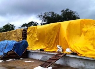 खरीदी केंद्र में धान बारिश से भीगा तो जिम्मेदारी केंद्र प्रभारी की-कलेक्टर खरीदी केंद्र में धान भीगा तो जिम्मेदारी केंद्र प्रभारी की-कलेक्टर