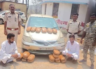 दो अंतर्राज्यीय तस्कर से 21 किलो गांजा किया गया जप्त दो अंतर्राज्यीय तस्कर से 21 किलो गांजा किया गया जप्त