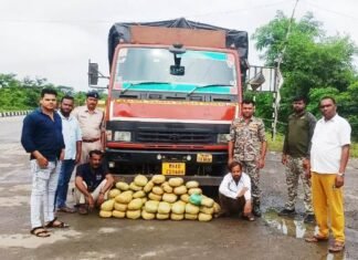 धान बोरियो के अंदर से मिला 50 किलो गांजा,दो अंतर्राज्यीय तस्कर गिरफ्तार धान बोरियो के अंदर से मिला 50 किलो गांजा,दो अंतर्राज्यीय तस्कर गिरफ्तार