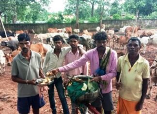 हरेली के दिन किसानों ने पूजा अर्चना की कृषि यंत्रो का हरेली के दिन किसानों ने पूजा अर्चना की कृषि यंत्रो का