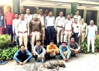 5 शिकारी जंगली जानवरों का शिकार करते हुए रंगे हाथ पकड़ाया 5 शिकारी जंगली जानवरों का शिकार करते हुए रंगे हाथ पकड़ाया