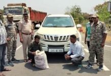 गांजा की तस्करी करते 03 तस्कर पुलिस की गिरफ्त में, 5 लाख 20 हजार रुपए का गांजा जप्त