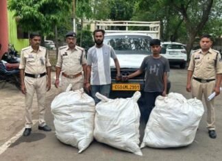 गांजा की तस्करी करते 02 तस्कर पुलिस की गिरफ्त में गांजा की तस्करी करते 02 तस्कर पुलिस की गिरफ्त में