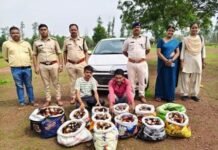 आई-20 कार से 135 लीटर अवैध शराब बरामद, दो गिरफ्तार आई-20 कार से 135 लीटर अवैध शराब बरामद, दो गिरफ्तार