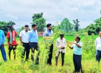 डिजिटल क्रॉप सर्वे का औचक निरीक्षण किया कलेक्टर विनय कुमार लंगेह ने डिजिटल क्रॉप सर्वे का औचक निरीक्षण किया कलेक्टर विनय कुमार लंगेह ने