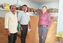 7 लाख 69 रुपए का अवैध धान जप्त ,संयुक्त टीम ने की कार्यवाही 7 लाख 69 रुपए का अवैध धान जप्त ,संयुक्त टीम ने की कार्यवाही