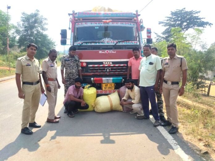 एएनटीएफ व पुलिस की कार्रवाई में 60 किलो गांजा जप्त, दो तस्कर गिरफ्तार