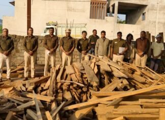 बंसुला में अवैध लकड़ी पर वन विभाग की बड़ी कार्रवाई, फर्नीचर मार्ट सील बंसुला में अवैध लकड़ी पर वन विभाग की बड़ी कार्रवाई, फर्नीचर मार्ट सील