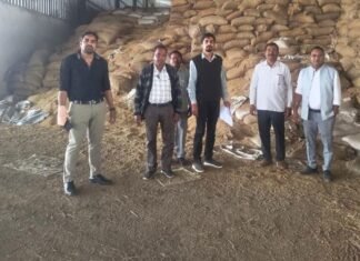 धान–चावल में अनियमितता पर प्रशासन का शिकंजा, तीन मामलों में बड़ी जप्ती धान–चावल में अनियमितता पर प्रशासन का शिकंजा, तीन मामलों में बड़ी जप्ती