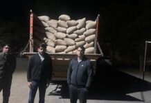 धान खरीदी में अनियमितता पर प्रशासन की सख्ती: सरायपाली में एफआईआर, 500 बोरों की हेराफेरी उजागर धान खरीदी में अनियमितता पर प्रशासन की सख्ती