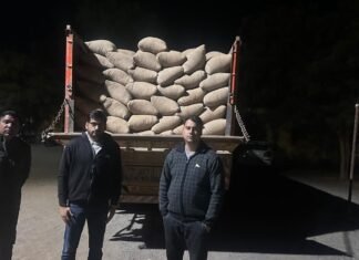 धान खरीदी में अनियमितता पर प्रशासन की सख्ती: सरायपाली में एफआईआर, 500 बोरों की हेराफेरी उजागर धान खरीदी में अनियमितता पर प्रशासन की सख्ती