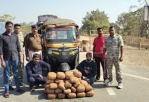 60 किलो गांजा सहित दो अंतर्राज्यीय तस्कर गिरफ्तार,सिंघोडा पुलिस व एंटी नारकोटिक्स टास्क फोर्स की कार्रवाई 60 किलो गांजा सहित दो अंतर्राज्यीय तस्कर गिरफ्तार