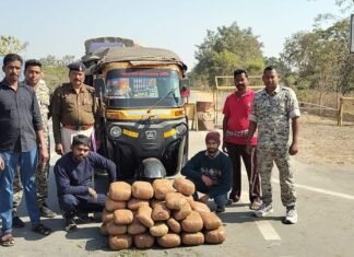 60 किलो गांजा सहित दो अंतर्राज्यीय तस्कर गिरफ्तार,सिंघोडा पुलिस व एंटी नारकोटिक्स टास्क फोर्स की कार्रवाई 60 किलो गांजा सहित दो अंतर्राज्यीय तस्कर गिरफ्तार