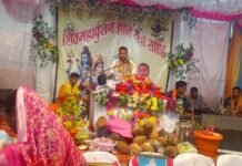 शिव का अर्थ ही कल्याणकारी है, जो सदैव कल्याण करते है-पं. कमलेश प्रसाद दुबे शिव का अर्थ ही कल्याणकारी है, जो सदैव कल्याण करते है-पं. दुबे