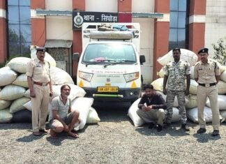1432 किलो अफीम पोस्त डोडा जब्त, दो तस्कर गिरफ्तार,सिंघोड़ा पुलिस की बड़ी कार्रवाई 1432 किलो अफीम पोस्त डोडा जब्त, दो तस्कर गिरफ्तार
