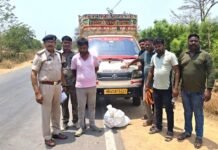 गुप्त चेंबर में छिपाकर नागपुर ले जाया जा रहा था गांजा गुप्त चेंबर में छिपाकर नागपुर ले जाया जा रहा था गांजा