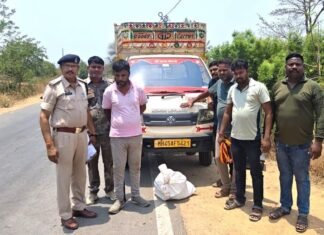 गुप्त चेंबर में छिपाकर नागपुर ले जाया जा रहा था गांजा गुप्त चेंबर में छिपाकर नागपुर ले जाया जा रहा था गांजा