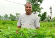 बसना के किसान ने 25 एकड़ में ढेंचा की खेती कर बढ़ाई मिट्टी की उर्वरता बसना के किसान ने 25 एकड़ में ढेंचा की खेती कर बढ़ाई मिट्टी की उर्वरता