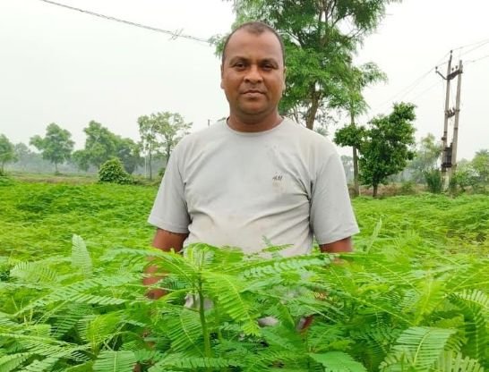 unnamed-18 बसना के किसान ने 25 एकड़ में ढेंचा की खेती कर बढ़ाई मिट्टी की उर्वरता