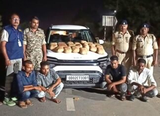 महासमुंद: ओडिशा के 4 गांजा तस्कर गिरफ्तार, 23.500 किलो गांजा बरामद महासमुंद: ओडिशा के 4 गांजा तस्कर गिरफ्तार, 23.500 किलो गांजा बरामद