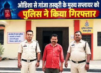 ओडिशा से गांजा तस्करी के मुख्य सप्लायर को पुलिस ने किया गिरफ्तार ओडिशा से गांजा तस्करी के मुख्य सप्लायर को पुलिस ने किया गिरफ्तार