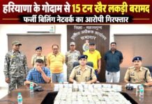 हरियाणा के गोदाम से 15 टन खैर लकड़ी बरामद,फर्जी बिलिंग नेटवर्क का आरोपी गिरफ्तार हरियाणा के गोदाम से 15 टन खैर लकड़ी बरामद,फर्जी बिलिंग नेटवर्क का आरोपी गिरफ्तार